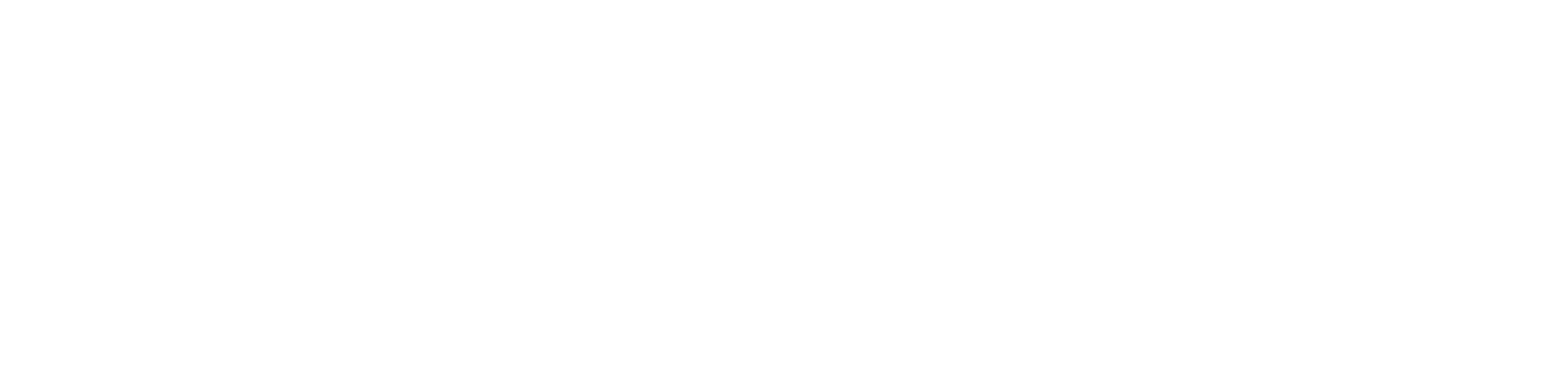 Vendiprime-Logo_verstaerkt